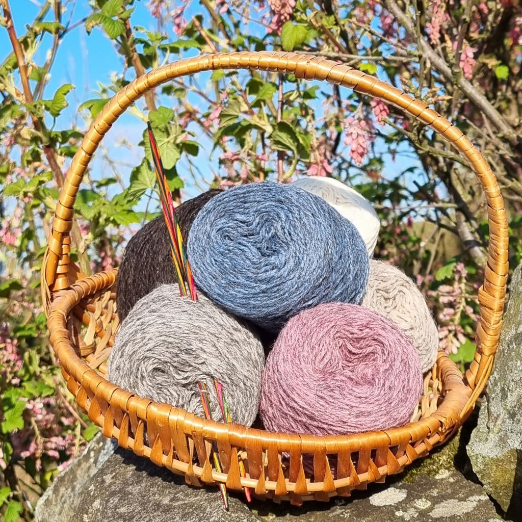 Buggiflooer Beanie: SWW23 hat kit