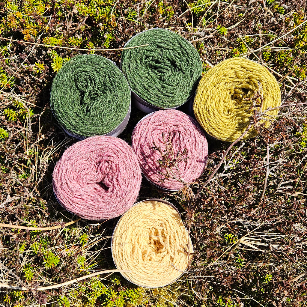 SWW26: Slouchy Birsie Beanie kit